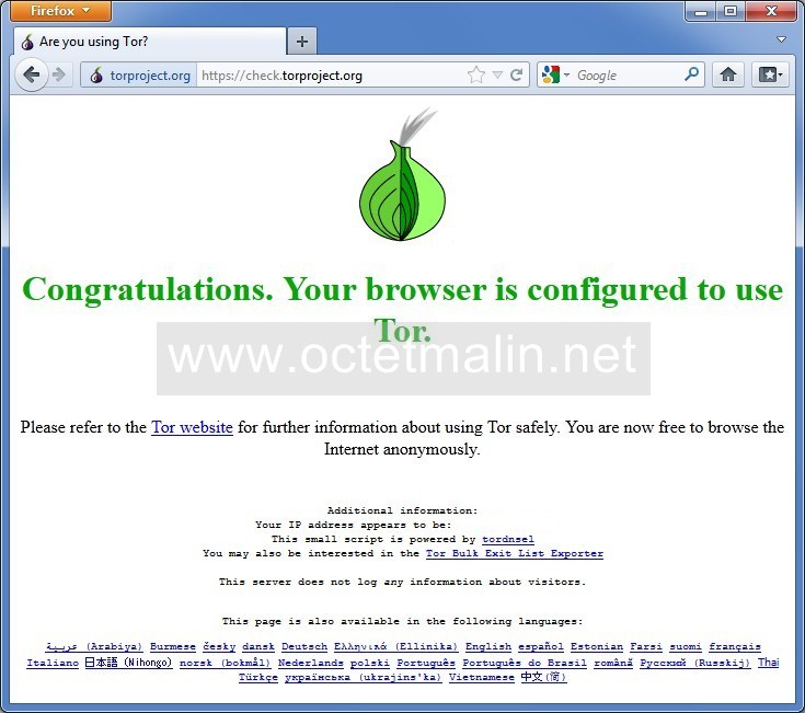 Tor im browser 1.3.2 en us